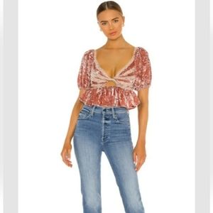 Free People Womens Velvet Pink V Neck Pouf Peplum Sleeve Crop Top Size XS  NWT